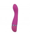 INTENSE - VIBRATEUR LEO SILICONE ROSE LUXE