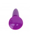 BAILE - PETIT PLUG ANAL LILAS 15 CM