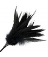DARKNESS - FOUET À PLUMES NOIRES