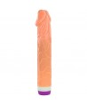 BAILE - VAGUES DE PLAISIR RÉALISTE VIBRANT 22.5 CM