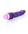 BAILE - VIBRATEUR VAGUES DE PLAISIR 23 CM VIOLET