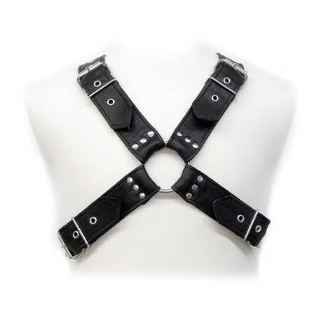 HARNAIS EN CUIR - BOUCLES