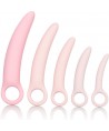 CALEXOTICS - INSPIRE DILATATEUR EN SILICONE ENSEMBLE DE 5 PIÈCES