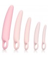 CALEXOTICS - INSPIRE DILATATEUR EN SILICONE ENSEMBLE DE 5 PIÈCES