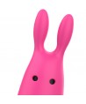 OHMAMA POCKET VIBE ÉDITION NOËL ROSE