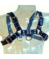 LEATHER BODY - HARNAIS EN CUIR BLEU ET NOIR POITRINE BULLDOG