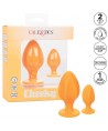 CALEXOTICS - BOUCHON CHEEKY ORANGE