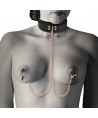 COQUETTE CHIC DESIRE - COLLIER PINCE TIP FANTAISIE AVEC DOUBLURE EN NÉOPRÈNE