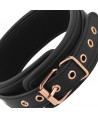 COQUETTE CHIC DESIRE - COLLIER PINCE TIP FANTAISIE AVEC DOUBLURE EN NÉOPRÈNE