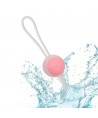CALEXOTICS - ELLE-OLOGIE ENSEMBLE BOLAS KEGEL INTERCAMBIABLES