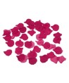 DIABLO PICANTE - 100 PÉTALES DE FUCHSIA
