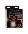 CALEXOTICS -MASTURBALLE DE PUISSANCE OPTIMALE