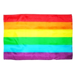 PRIDE - DRAPEAU MOYEN LGBT