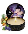 SHUNGA - FRUITS EXOTIQUES SECRETS GEISHA