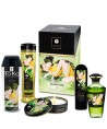 SHUNGA - KIT DE JARDIN EDO COLLECTION BIO