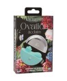 CALEXOTICS - OVATION STIMULATEUR ACCLAIM AQUA GREEN