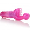 CALEXOTICS - KISS PAPILLON KISS ROSE
