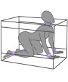 SECRET DOME - KINK CLUB LA NICHE CABINE VIOLET