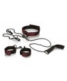 CALEXOTICS - SCANDAL KIT DE SOUMISSION