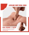 XISE - BERTLETT DILDO ASS GODE RÉALISTE ET MASTURBATEUR ANUS POSITION FRONTALE AVEC POUSSÉE 18 CM