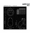 ADDICTED TOYS LOCKED - CAGE À PÉNIS MINDNIGHT CELL TAILLE L
