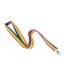 RUBAN DRAPEAU ARC-EN-CIEL - FIERTÉ 90 X 5 CM