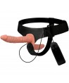 HARNESS ATTRACTION - HARRIS DOUBLE PENETRACI N AVEC VIBRATION 18 CM -O- 3.5 CM