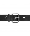 HARNESS ATTRACTION - RNES MURDOCK 19.8 + 15 CM -O- 4 CM