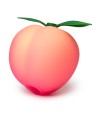ROMP - SUCCION CLITORIALE PÊCHE ROSE