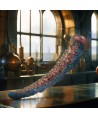 EPIC - GODEMICHET À TENTACULE DE CHARYBIDE PETITE TAILLE